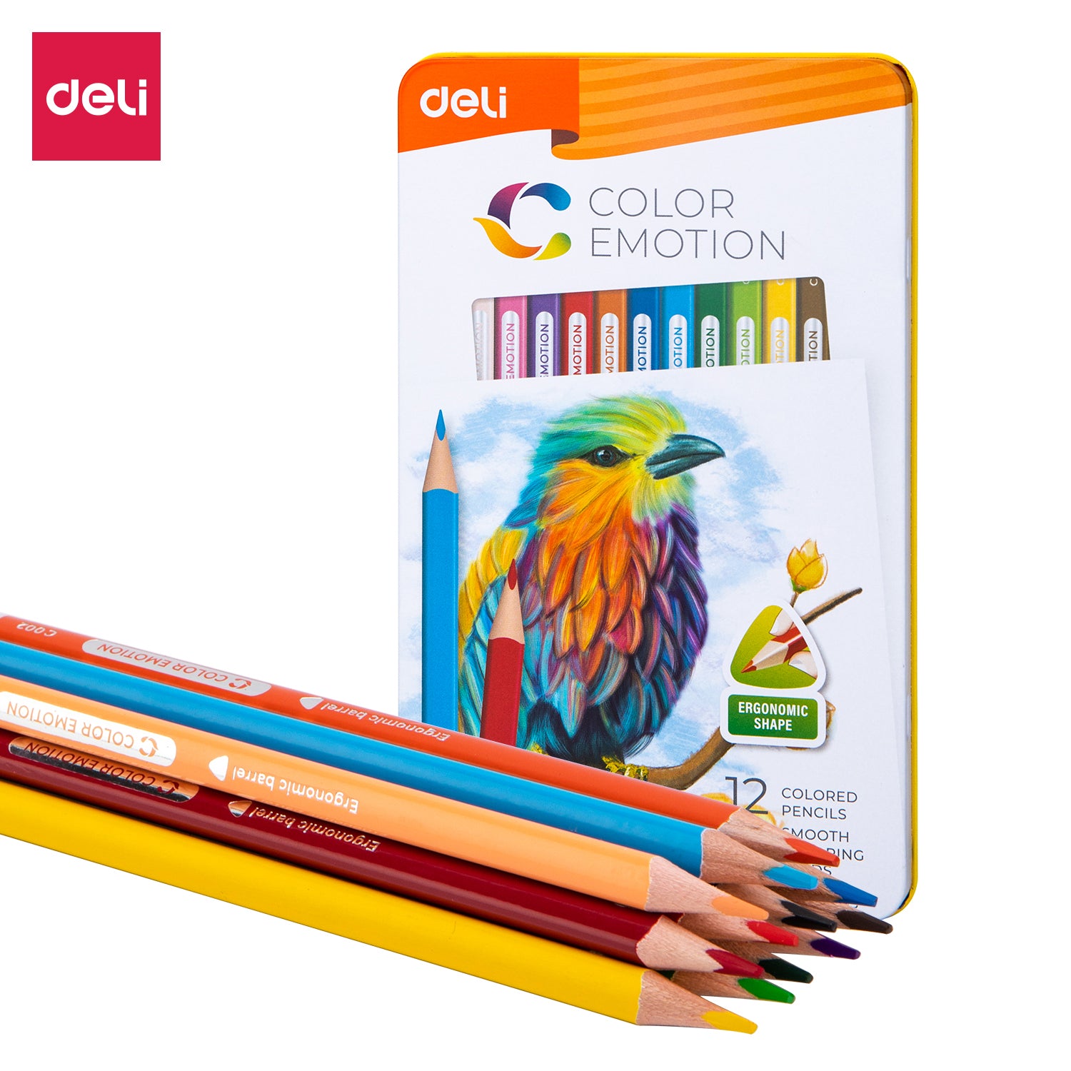 Deli Colored Pencils-12 Colors