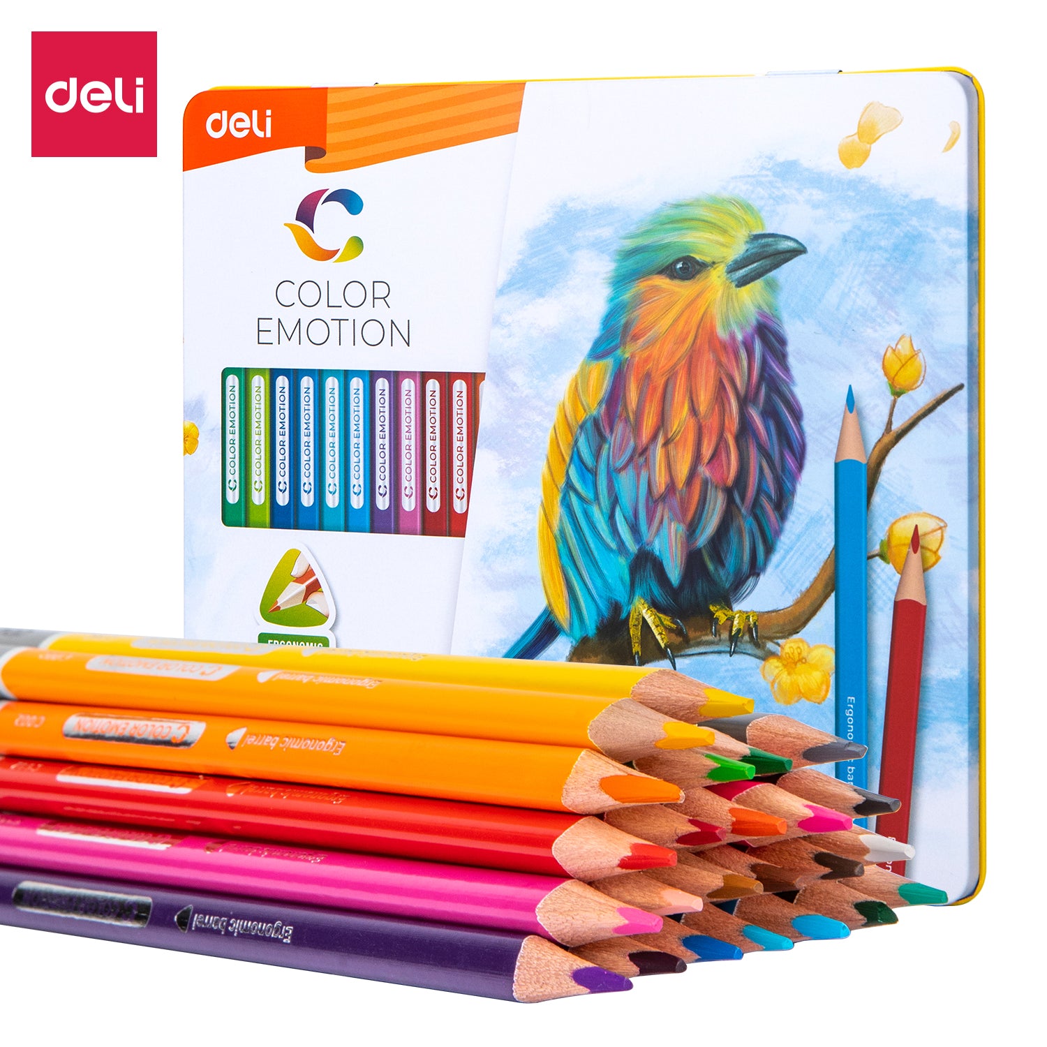 Deli Colored Pencils-24 Colors