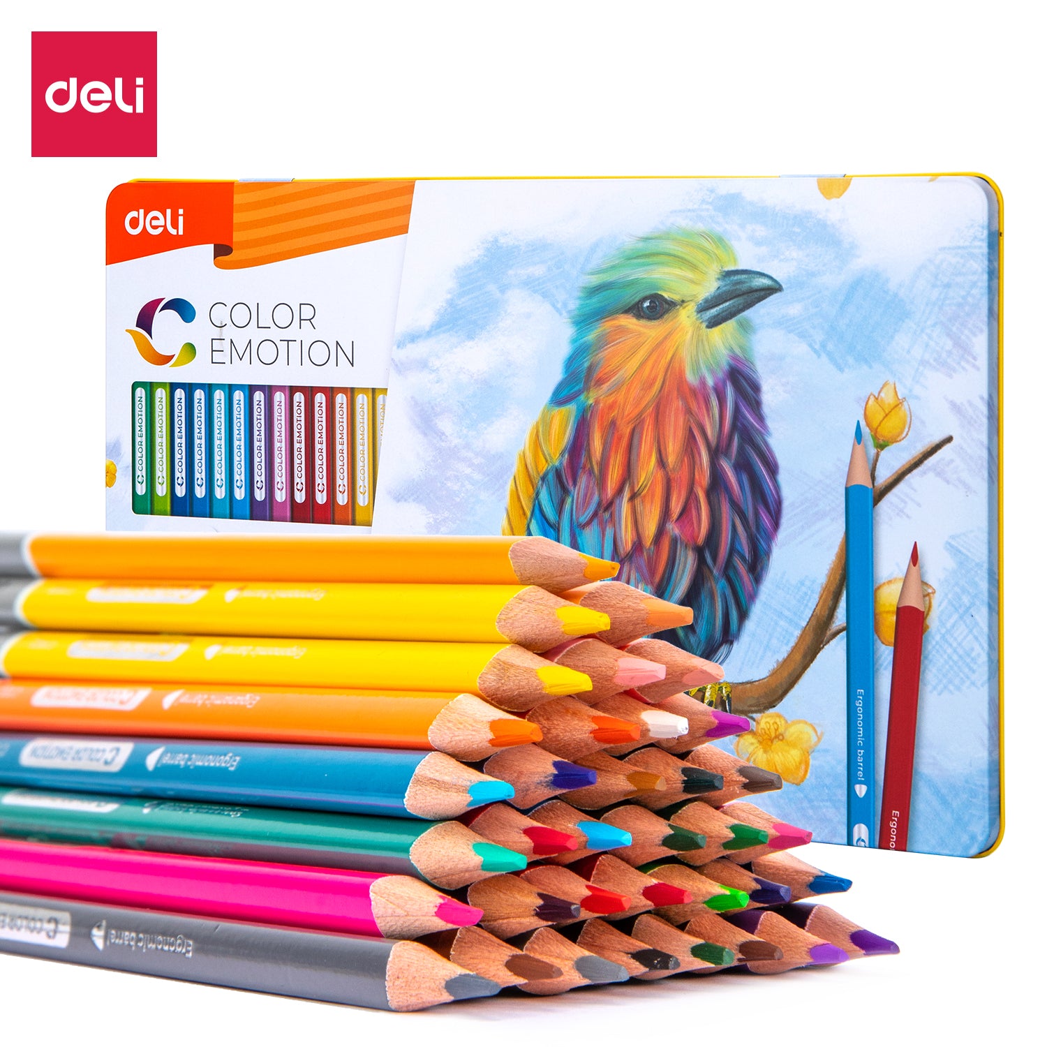 Deli Colored Pencils-36 Colors