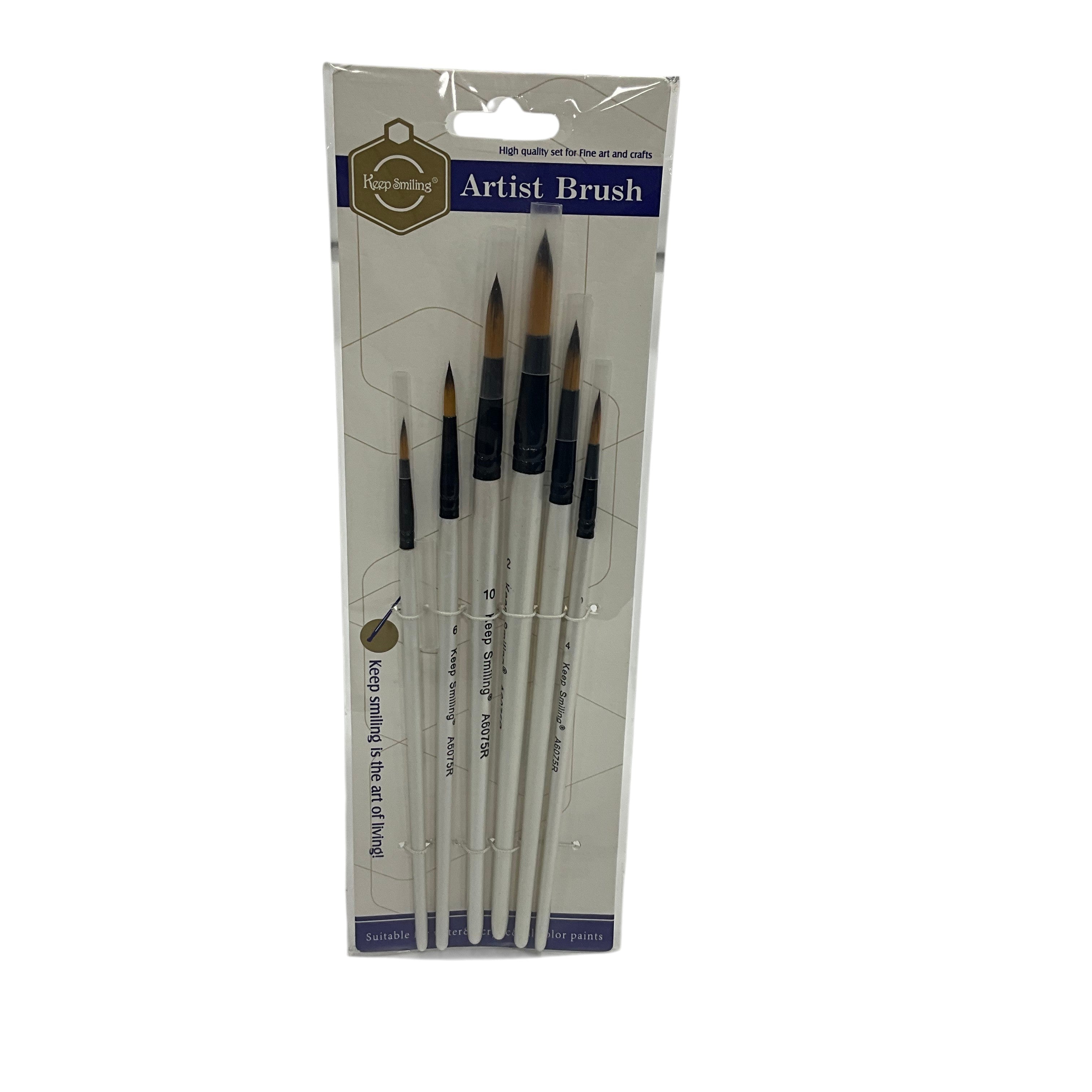 Artist Paint Brush Set 6 PCS