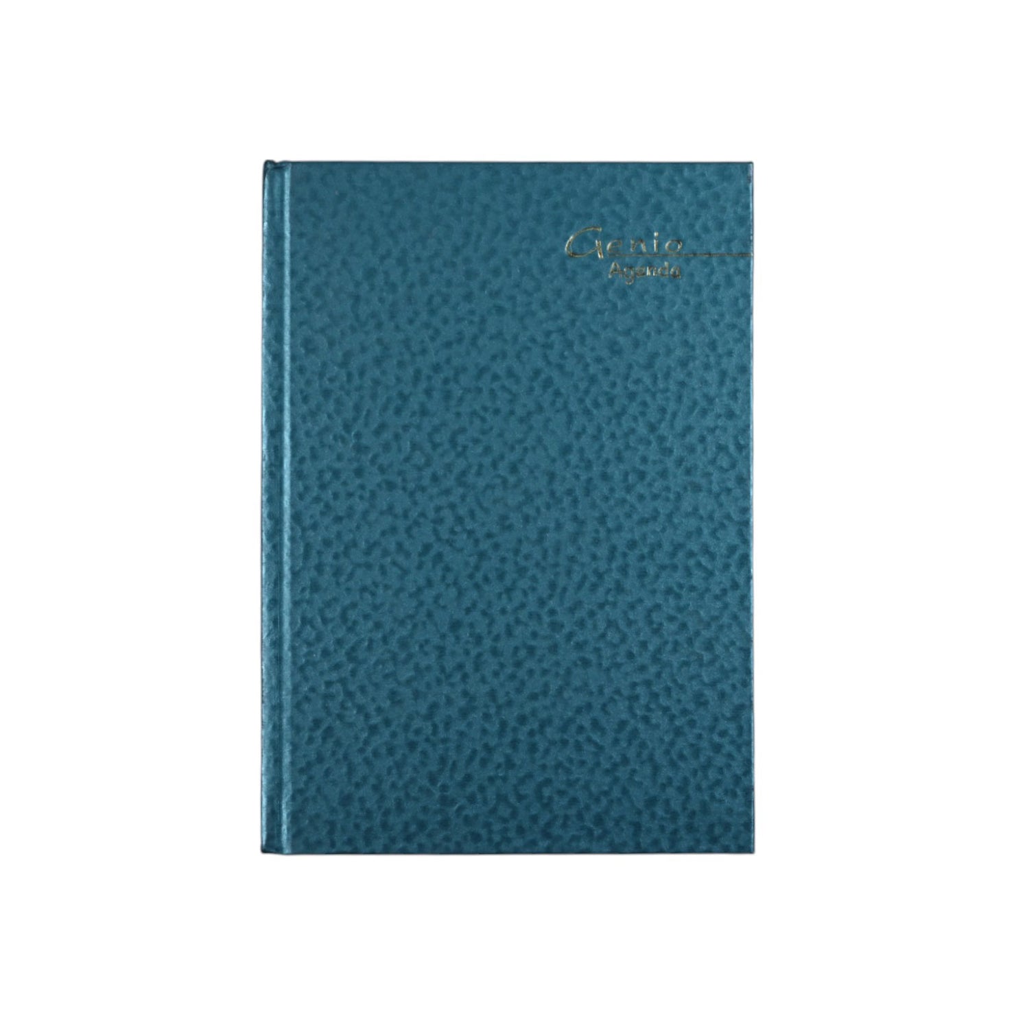 Genio School Agenda