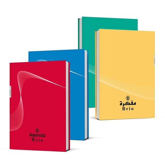 Brio School Agenda