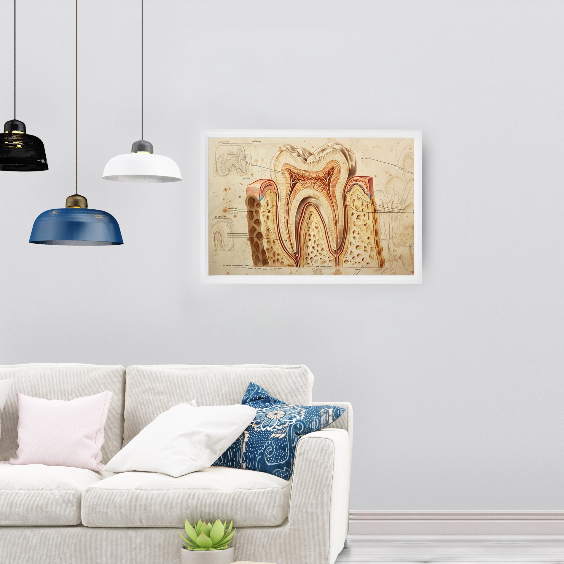 Tooth Cross Section Poster
