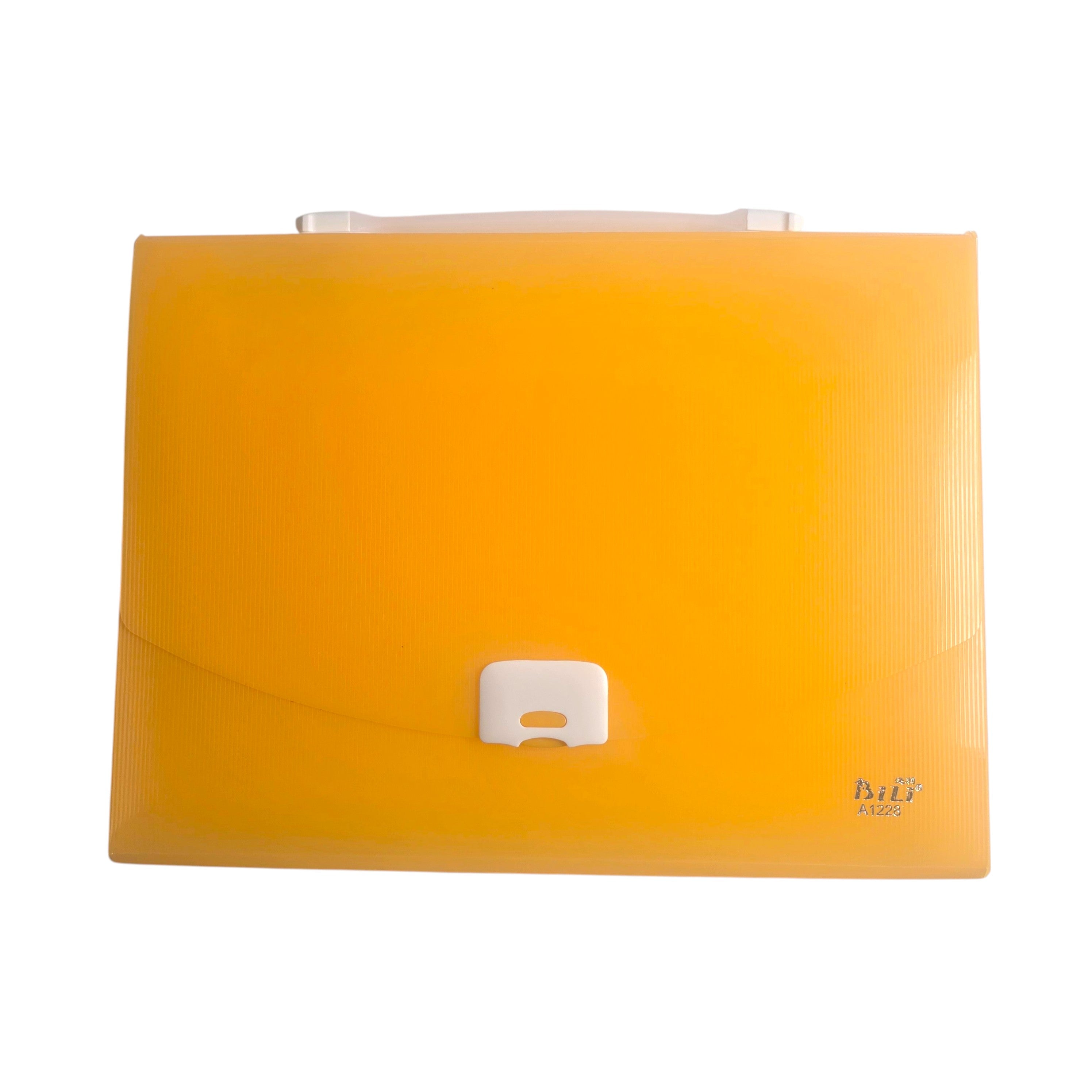 A4 Document Carry Case with Handle