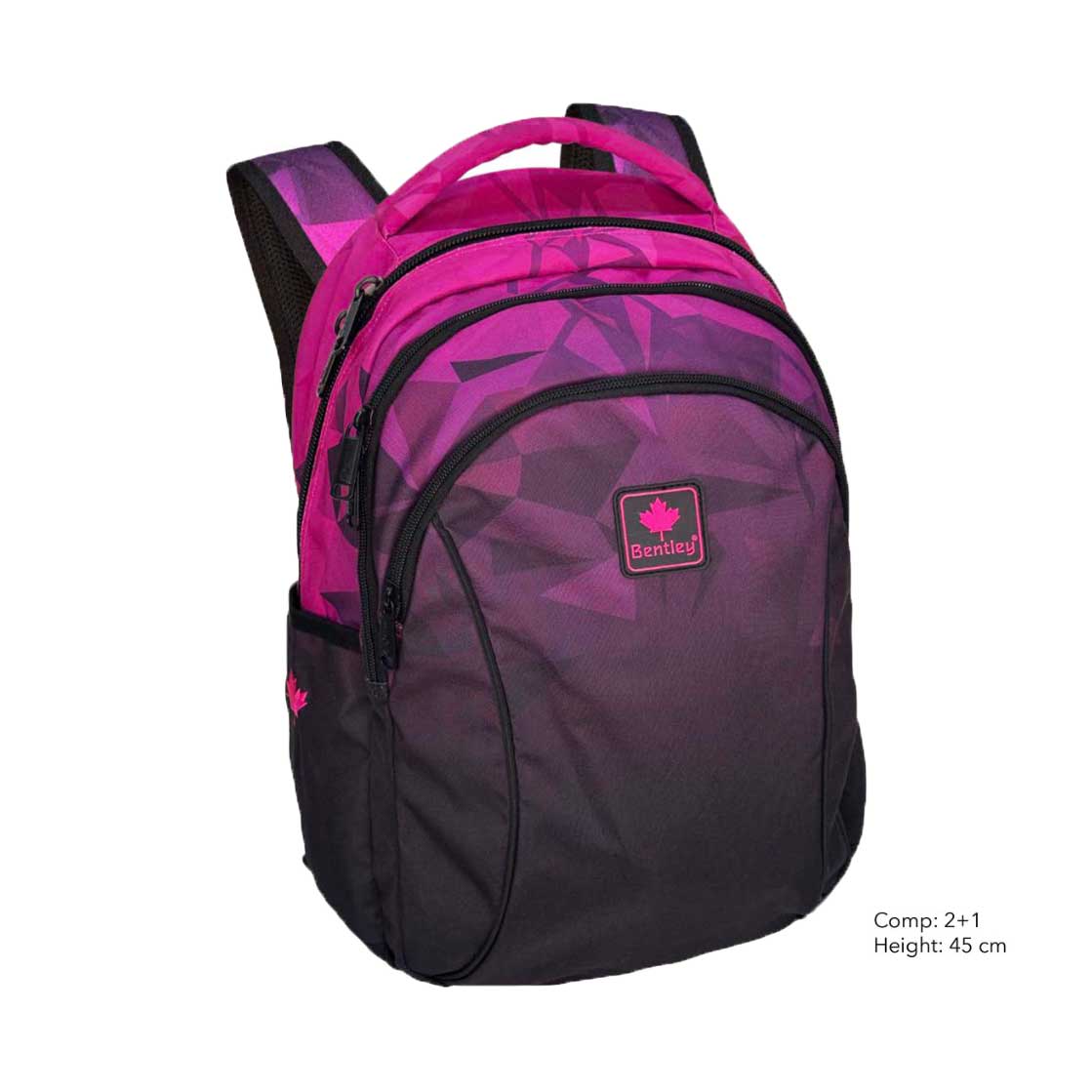 Bentley Black/Pink Bag