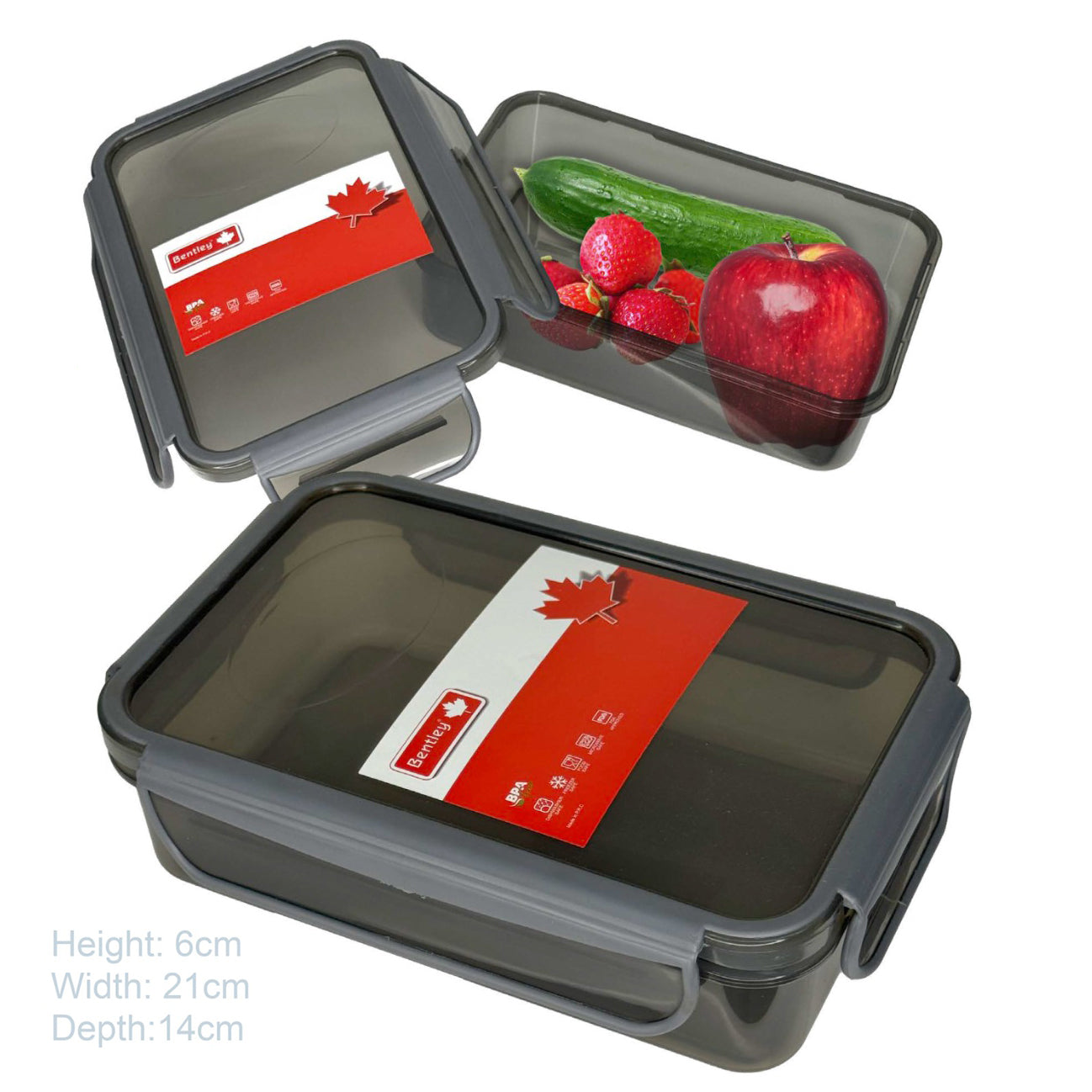 Bentley Rectangular Lunch Box 900ML