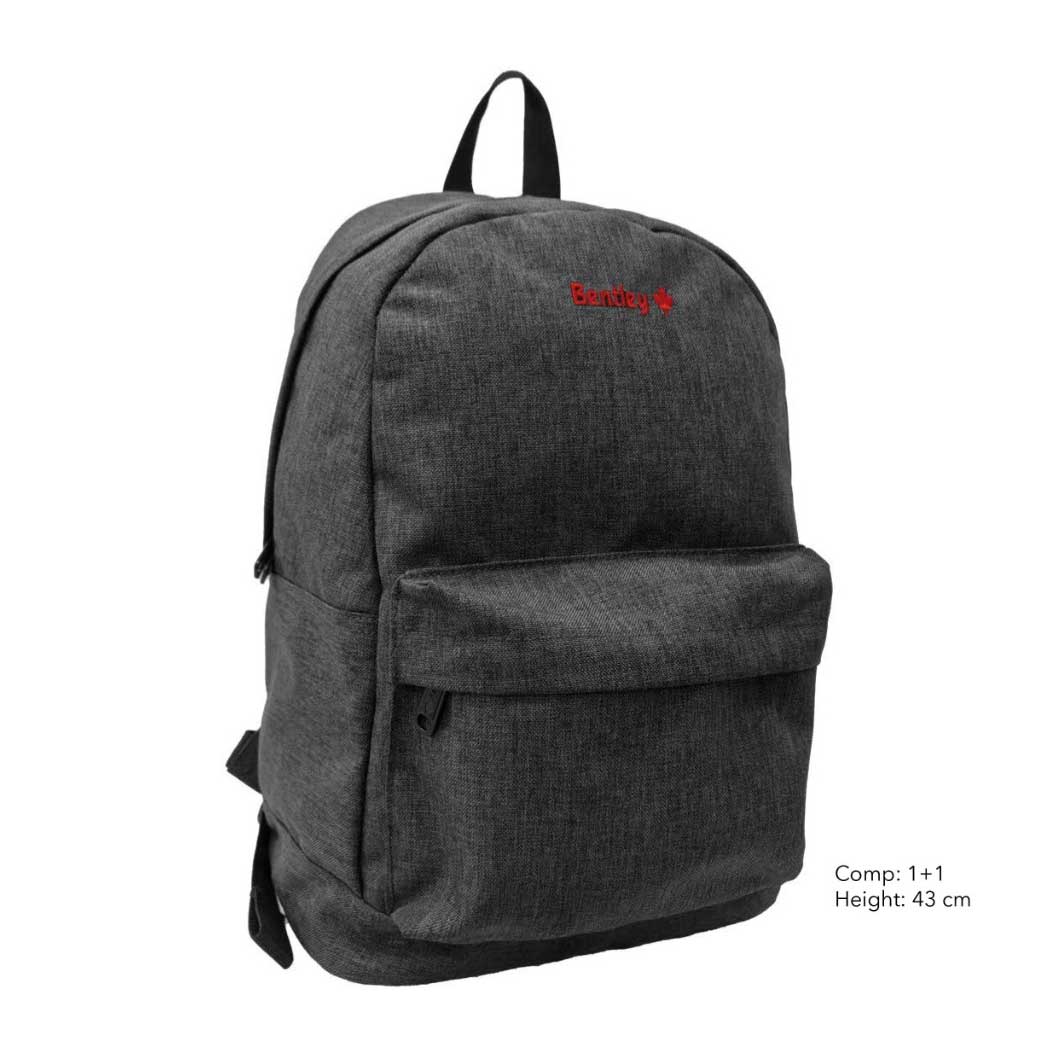 Bentley Grey Jeans Bag