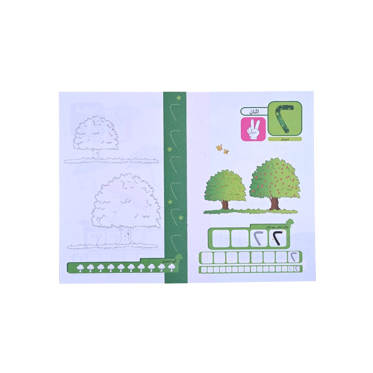 Learn Numbers Arabic Book
