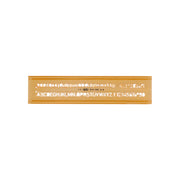 Lettering Template Ruler