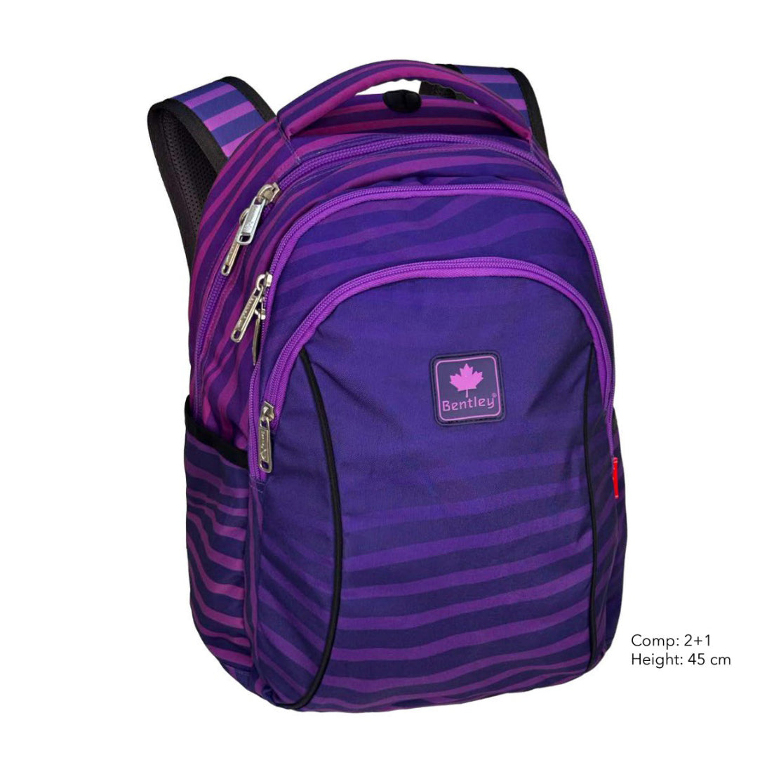 Bentley Purple Lines Bag