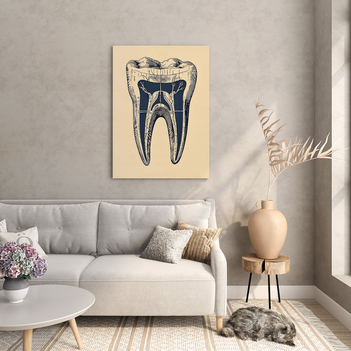 Tooth Anatomy Canvas
