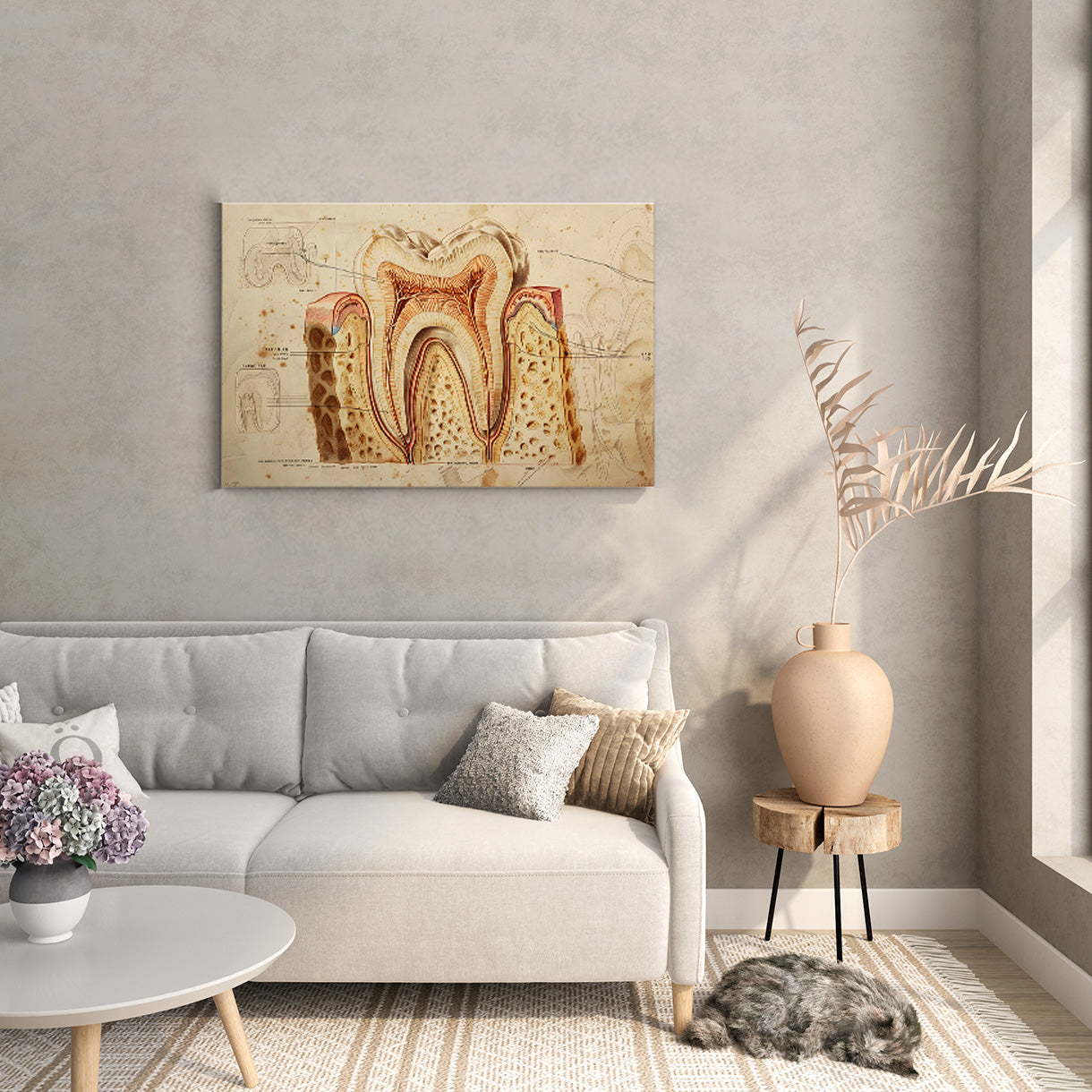 Tooth Cross Section Canvas